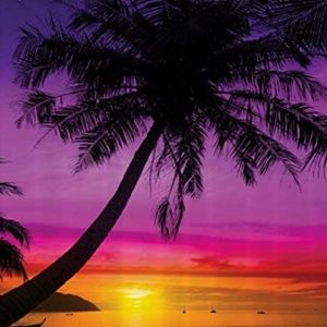 Meet your Posher, Rosalia